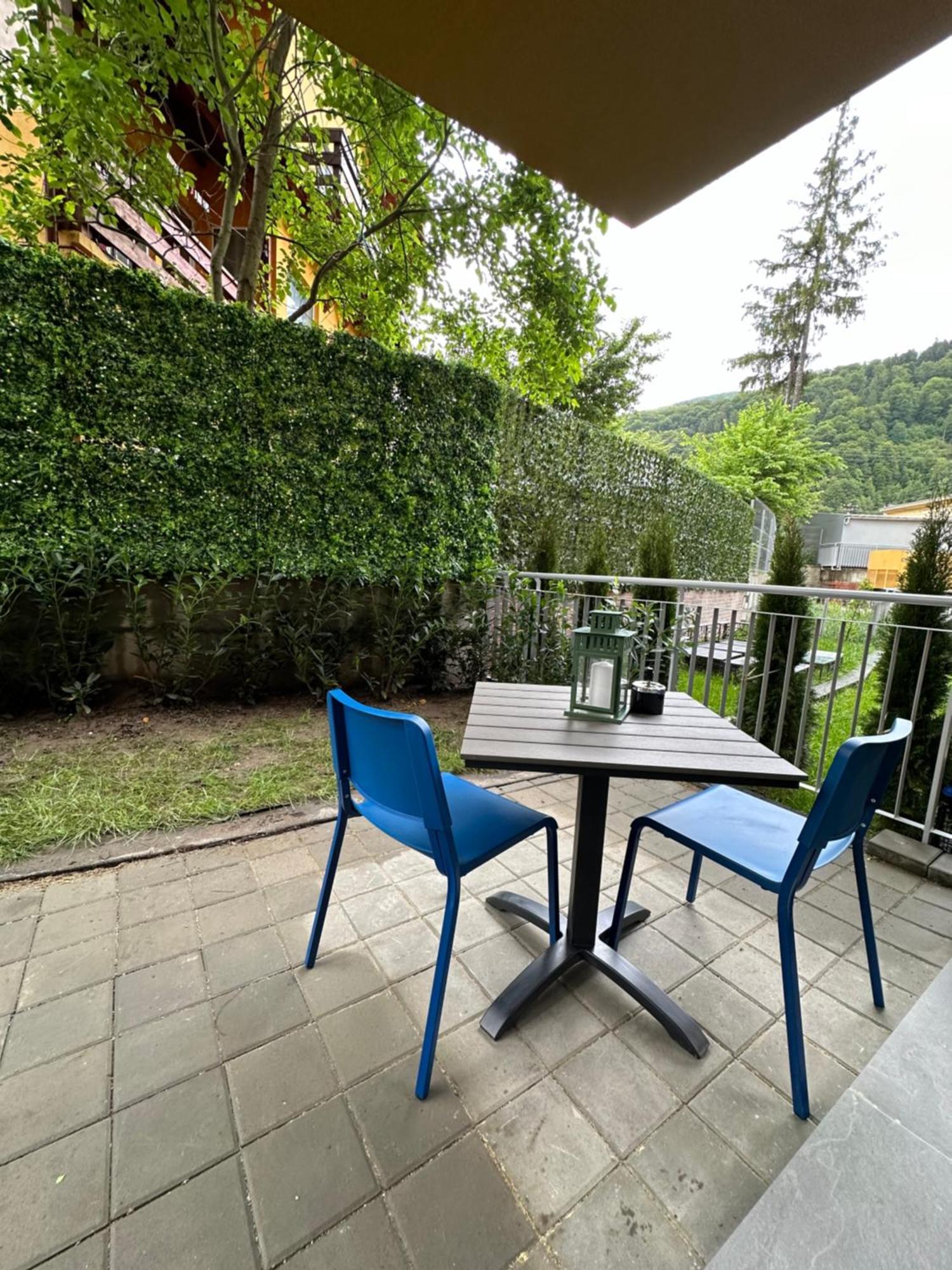 Cozy Garden Apartment Sinaia Esterno foto